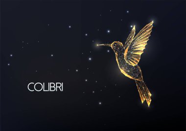 Gold hummingbird made of lines, dots, circles and polygons isolated on black background.  clipart