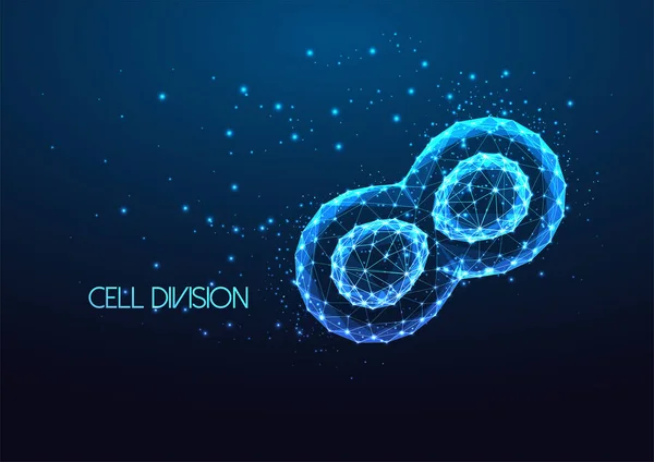미래적 Futuristic Cell Division 은어두운 배경에서 폴리곤 스타일로 빛나는 배너이다 — 스톡 벡터
