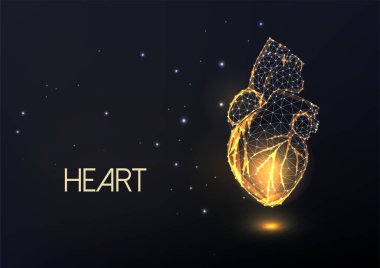 Siyah arka planda soyut altın anatomik insan kalbi parlayan düşük poligonal tarzında izole edilmiş. Kardiyoloji, kalp sağlığı konsepti. Modern tel çerçeve ağ tasarımı vektör çizimi.