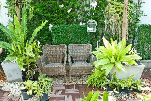 Wooden chair in the small garden — Stock Photo, Image