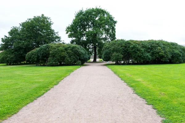 Streight road path with trees and gras — Stock Photo, Image