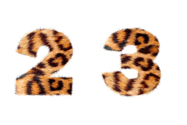 Base simbolo numero personalizzato su pelle di leopardo — Foto Stock