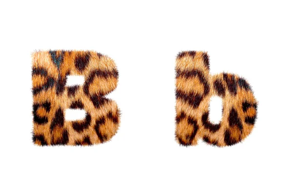 Anpassade engelska texten bas på leopard huden — Stockfoto