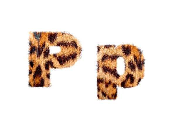 Base de texte anglaise personnalisée sur peau de léopard — Photo