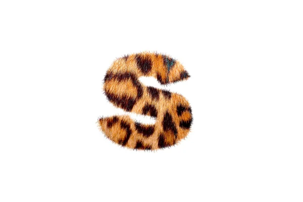 Base di testo inglese personalizzata sulla pelle di leopardo — Foto Stock