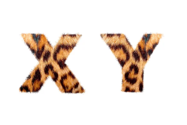 Custom english text base on leopard skin — Stock Photo, Image
