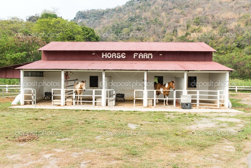 A small horse staple with two small horses — Stock Photo