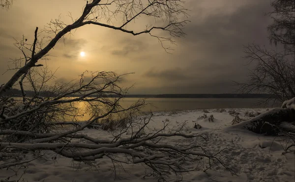 Wybrzeże jeziora w zimie Zdjęcie Stockowe
