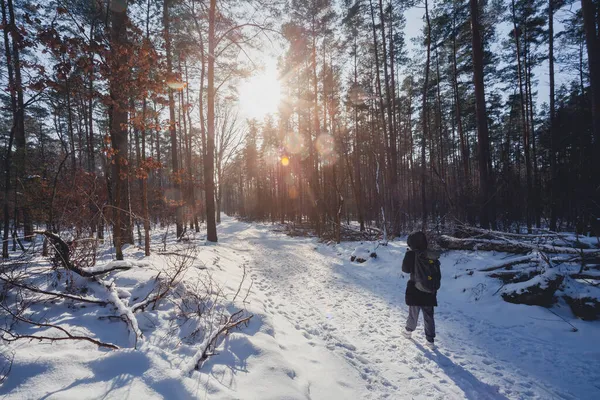 Pěší Túra Pěší Túra Lese Zimním Období Sněhem Ledem Nádherným Royalty Free Stock Obrázky