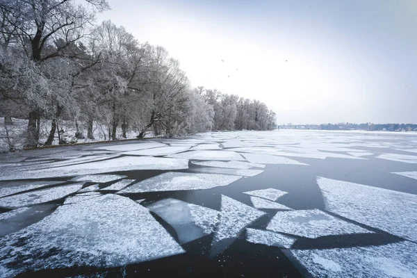 Ledové Tříště Seddinseelu Zimním Období Blízkosti Berlína Sněhem Ledem Royalty Free Stock Obrázky