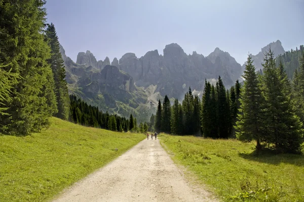 Trail op Alpen — Stockfoto