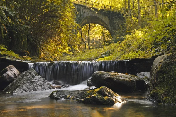 Waterfalls — Stock Photo, Image