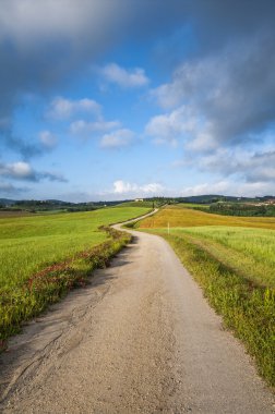 Trail and green field,Tuscany,Italy clipart