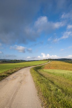 yol ve yeşil alan, Toskana, İtalya