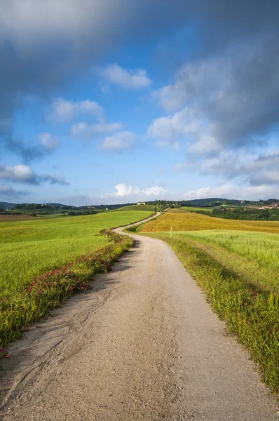Yol ve yeşil alan, Toskana, İtalya — Stok fotoğraf