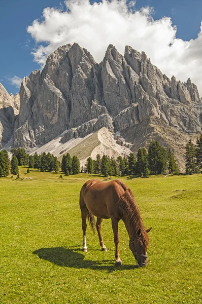 Odles, valle de Funes, Tirol del Sur, Italia . Fotos De Stock