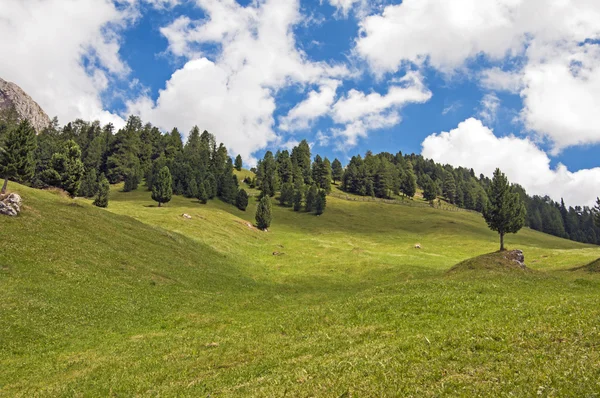 Odles, valle di Funes, Alto Adige, Italia . — Foto Stock
