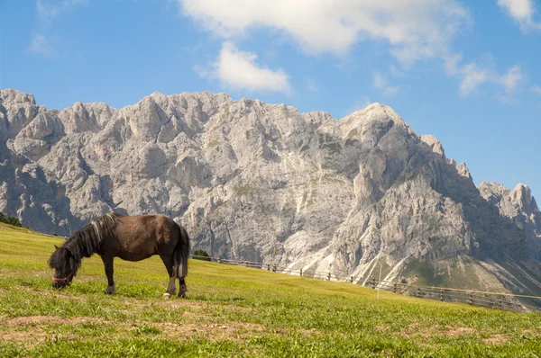Odles, Dél-Tirol, Olaszország — Stock Fotó