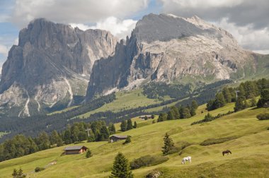 Seiser alm, south tyrol, İtalya