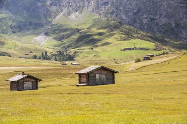 Weiden op de Dolomieten — Stockfoto