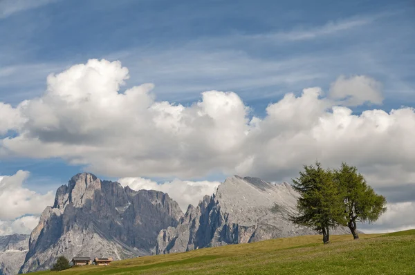 Seiser alm, Sydtyrolen, Italien — Stockfoto