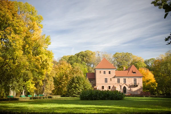 Готичний замок Oporow, Польща — стокове фото