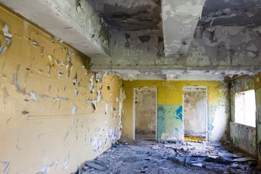 Fabrika Polonya terk