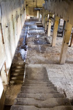 Fabrika Polonya terk