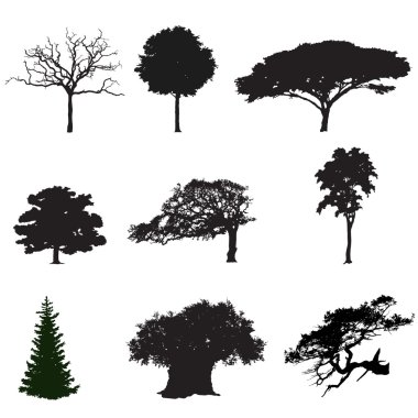 ağaçlarının Silhouettes