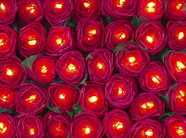 Red rose light — Stock Photo, Image