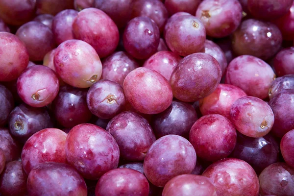 Red grapes — Stock Photo, Image