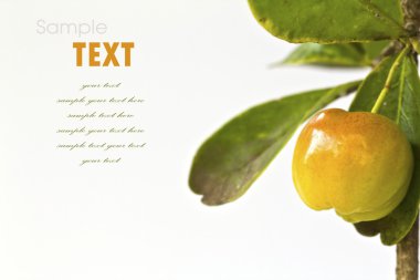 Beyaz arka plan üzerinde izole yaprakları ile genç Kiraz eriği