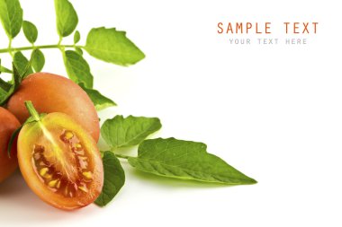 domates ve izole üzerinde beyaz arka plan yapraklar