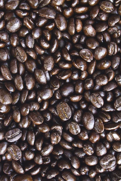 Κοντινό πλάνο κόκκους καφέ και καφέ σε λευκό φόντο με — Φωτογραφία Αρχείου