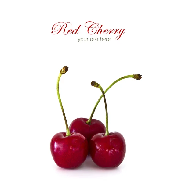 Sweet cherries isolated on white background with copy space. — Stock Photo, Image