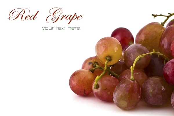 Close up of red grapes on white background with copy space. — Stock Photo, Image