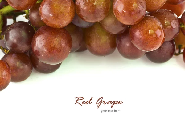Uva rossa su bianco — Foto Stock