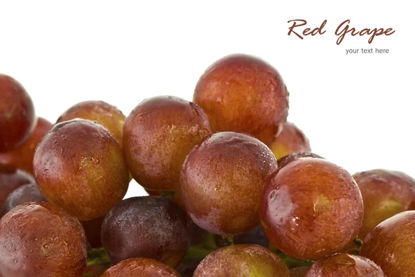 Red Grape on white — Stock Photo, Image