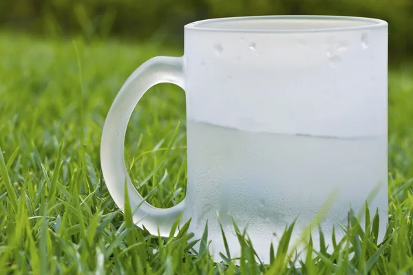 Vidro de água na grama closeup fundo — Fotografia de Stock