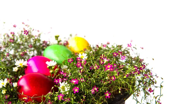 草や花にカラフルなイースターエッグ — ストック写真