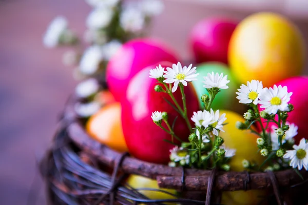 Colorful easter eggs in brown basket with flower — Stock Photo, Image