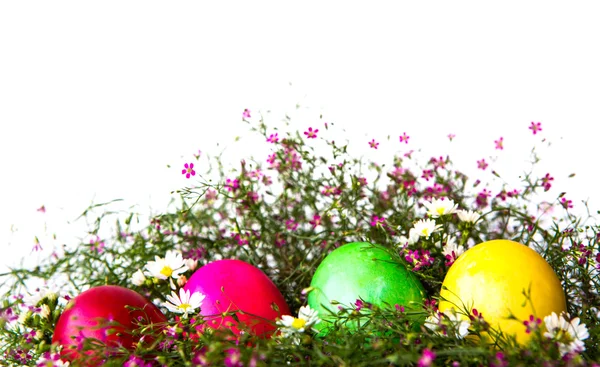 Πολύχρωμα Πασχαλινά αυγά σε χόρτο και λουλούδι — Φωτογραφία Αρχείου