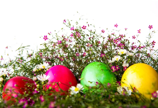 Colorful easter eggs on grass and flower — Stock Photo, Image