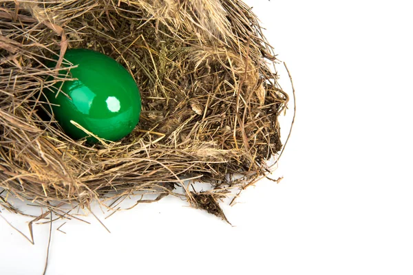 Colorful Easter eggs in a nest from branches on white backgroun — Stock Photo, Image