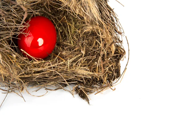 Colorful Easter eggs in a nest from branches on white backgroun — Stock Photo, Image