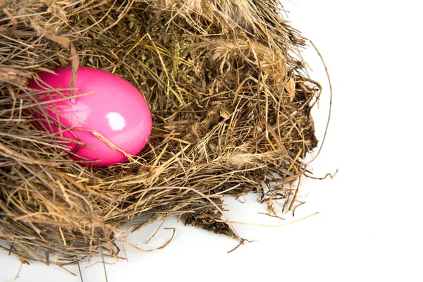 Kleurrijke Pasen eieren in een nest van takken van witte pagina — Stockfoto