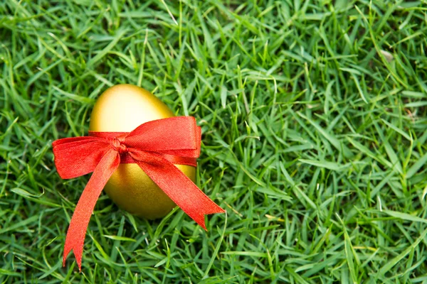 Easter eggs on green grass with flower — Stock Photo, Image