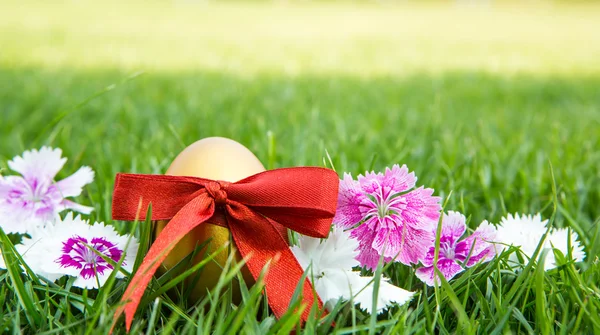 Easter eggs on green grass with flower — Stock Photo, Image
