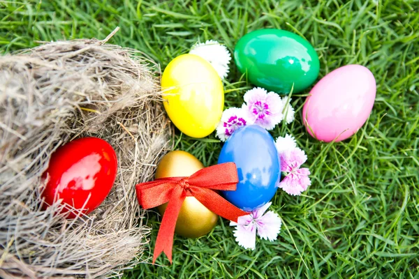 Easter eggs in nest on green grass — Stock Photo, Image