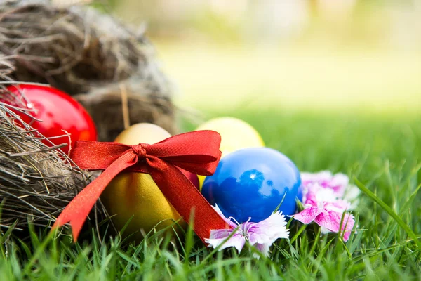 Easter eggs in nest on green grass — Stock Photo, Image